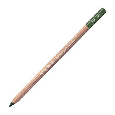 Imagem de Lapis de cor pastel seco caran d'ache escolha cor - CARANDACHE, DARK G