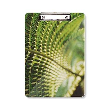 Imagem de Folhas Fotografia Planta Imagem Natureza Prancheta Pasta Bloco de Escrita Placa de Apoio A4