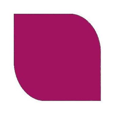 Imagem de Tinta Pva Fosca 100ml Cores Frias Gii - TRUE COLORS, ROSA CARMIN - 723