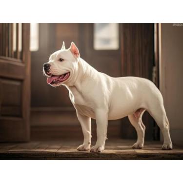 Imagem de IPISSOI White Staffordshire Bull Terrier Diamond Art 5D Diamond Painting Kits DIY Completo Redondo Broca Strass por Número Mosaico Artes e Artesanato para Sala de Estar Decoração de Parede de Casa 12