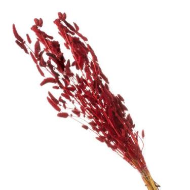 Imagem de Celósia Rabo de Coelho Vermelho Desidratado - Pense Flores