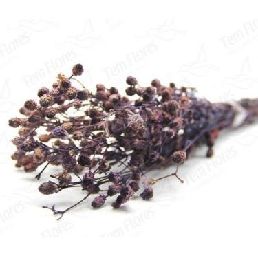 Imagem de Ramo Roxo Roxo Flor Desidratada Buque Flores Secas - Pense Flores