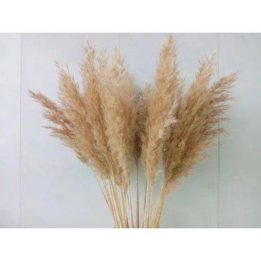 Imagem de Capim Dos Pampas Decoração Sala Quarto Home 8 Hastes - Pense Flores