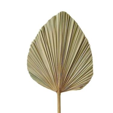 Imagem de Folha De Latânia Natural Envelhecida - Kit Com 3 - Pense Flores