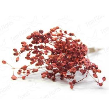 Imagem de Ramo Roxo Vermelho Flor Desidratada Buque Flores Secas - Pense Flores