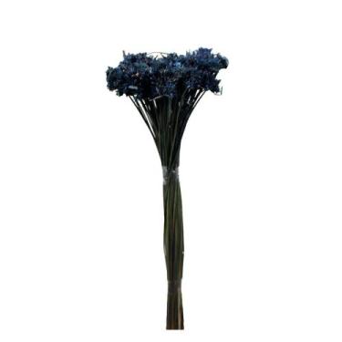 Imagem de Cebolão Azul Claro Desidratado - Pense Flores