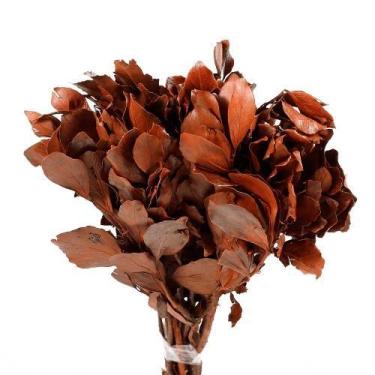 Imagem de Carne de Vaca / Carvalho Laranja - Tem Flores