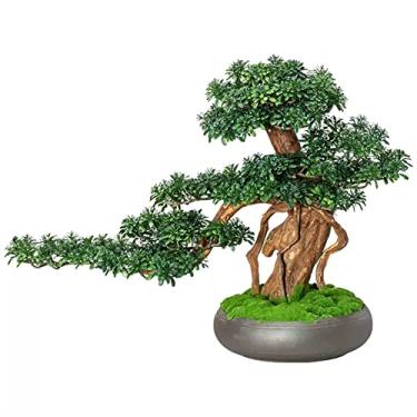 Imagem de Plantas falsas bonsai artificial simulação de plantas falsas decoração de bonsai, planta verde falsa em vaso interno para sala de estar, decoração de casa
