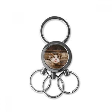 Imagem de Chaveiro de metal de aço inoxidável com foto de gato engraçado animal chaveiro de carro chaveiro clipe presente, Multicolorido.