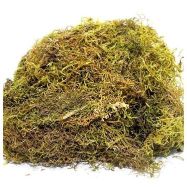 Imagem de 750g Musgo Verde Desidratadas Decoração Arranjos Flores - AC