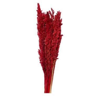 Imagem de Buquê Capim Flor Sorgo Secos Arranjo Desidratado - Inspira Flora, Verm