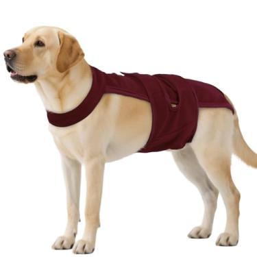 Imagem de QBLEEV Fraldas para cães fêmeas com suspensórios ajustáveis – Calcinha higiênica lavável para cães com calor ou incontinência, roupa íntima reutilizável à prova de fuga para animais de estimação para