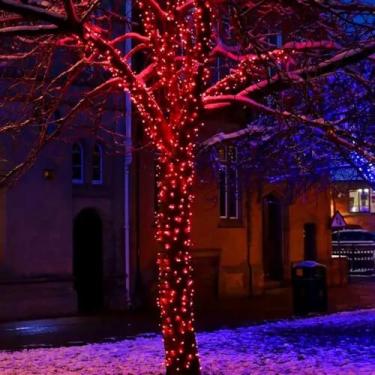 Imagem de Cordão Pisca 100 LED Fixo Vermelho 10m – Fio Verde 220V com Conexão Macho/Fêmea