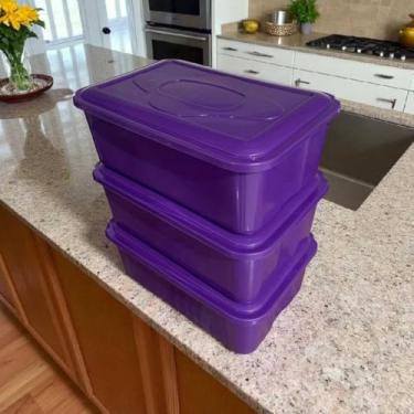 Imagem de Kit 3 Potes 4 litros Retangular Plástico Reutilizável Orgazinar e Armazenar Alimentos (Lilas)
