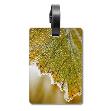 Imagem de Tender Leaf Plant Picture Nature Suitcase Bag Tag Luggage Card Scutcheon Label