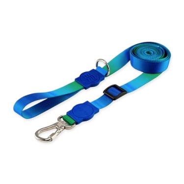 Imagem de Dog Trip Brasil Coleira Guia Retrátil Metros Para Cães Cachorro Adestramento Passeio Porte Grande Médio Pequeno (M, Bangli)