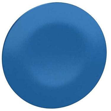 Imagem de Pastilha Azul Não Marcada P/ Botão Cabeça Múltipla ZBA76 - Schneider Schneider