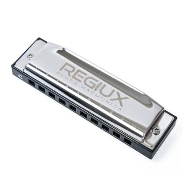 Imagem de REGIUX Gaita profissional de blues, diatônica de 10 furos, preto e prata, blues e instrumento de música folclórica com estojo de transporte