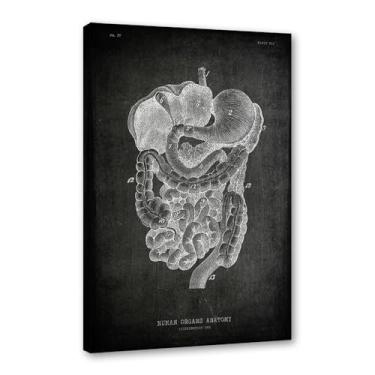 Imagem de Arte vintage de anatomia humana – pintura em tela de educação médica esqueleto humano gaiola cérebro coração anatomia pôster para decoração de casa de clínica hospitalar (SKU10,20.3x30.5 cm = (20x30cm