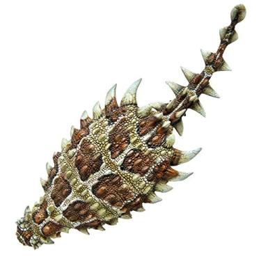 Imagem de PNSO Prehistoric Dinosaur Models (37 Bart The Pinacosaurus)