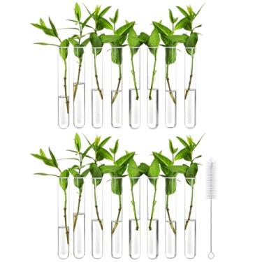 Imagem de Klmnop 16 tubos de teste transparentes para plantas, tubo de propagação de plantas de acrílico de 20 ml com escova, tubos de teste de propagação para plantas hidropônicas, flores, decoração de