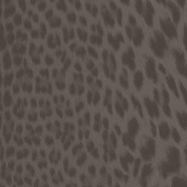 Imagem de Papel De Parede Adi Tare 2 Animal Print Marrom Ad200903r
