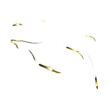 Imagem de Luzes De Cortina LED Para Exterior 110V 220V, Luzes De Fada Para Decor