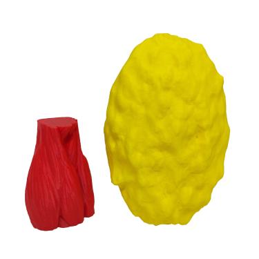 Imagem de Kit Peças Anatômicas Gordura e Músculo Humano Réplica