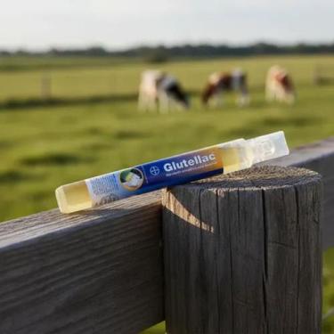 Imagem de Glutellac 50ML - ELANCO