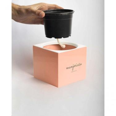 Imagem de Vaso Quadrado Autoirrigável Rosa Salmão Kit Manjericão