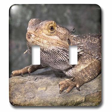 Imagem de 3dRose Interruptor duplo lsp_83699_2 Bearded Dragon Lizard NA02 CAD0036 Claudia Adams