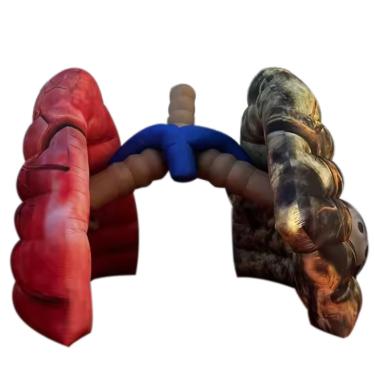 Imagem de Vinfgoes Exposições Médicas Infláveis Gigantes De Pulmão, Propaganda De Grandes Órgãos Humanos Infláveis, Réplica De Modelo Para Decoração De Atividades De Ensino/Exibição Escolar (Pulmão 3)