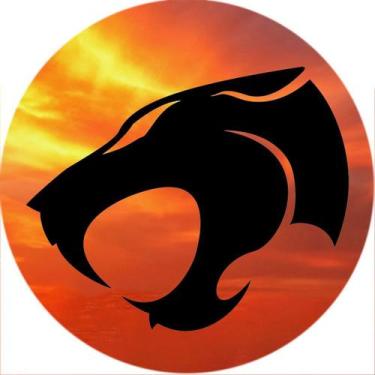 Imagem de Capa de Estepe Personalizada Lorben para Ecosport Crossfox Thundercats