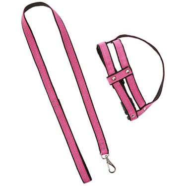 Imagem de PROCANINE Cj. Guia/Peitoral Nylon Duplo N.3 20Mm