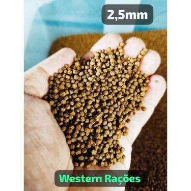 Imagem de 500GR RAÇÃO PARA TARTARUGAS, RÉPTEIS E PEIXES DE 2,5mm e 5mm A GRANEL.