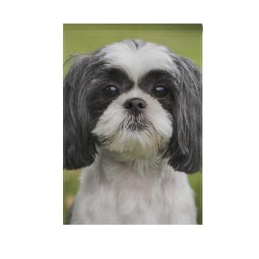 Imagem de Hokkien BlueViper Bandeira de jardim para cachorro Shih Tzu bonita com dupla face 30,48 x 45,72 cm, bandeiras de quintal, bandeiras decorativas pequenas para jardim, gramado ao ar livre e decoração de jardim