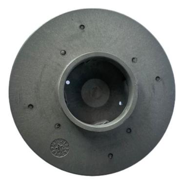 Imagem de Rotor Para Motobomba Piscina D'Agua 1/2CV Modelo Jacuzzi - DSANTIS