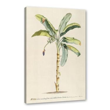 Imagem de Pôster vintage tropical botânico antigo palmeiras abacaxi arte de parede pintura em tela para sala de estar decoração de casa (SKU1,20.3x30.5 cm = (20x30 cm), emoldurado (tela embalada))