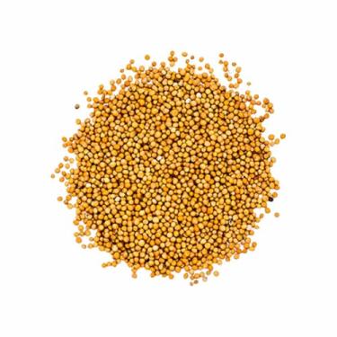 Imagem de Semente de Mostarda Amarela 500g Armazém Seu Luiz