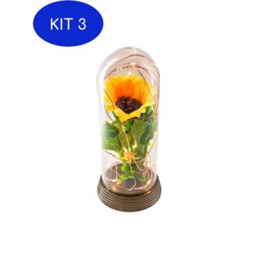Imagem de Kit 3 Luminária Redoma Cúpula Com Girassol Presente Namorada - Amor Li
