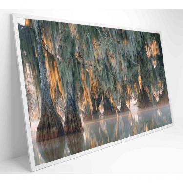 Imagem de Quadro árvores De Ciprestes No Lago Martin Medidas 60x40 Cm Impressão Tecido Canvas