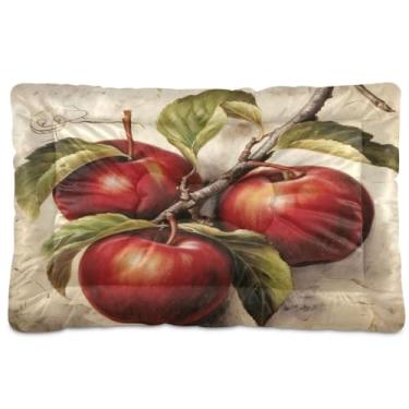 Imagem de Wassud Cama de cachorro pequena lavável com maçãs vintage gastas, tapetes para cães pequenos, almofada portátil macia para animais de estimação, cama antiderrapante para cães e gatos, almofada