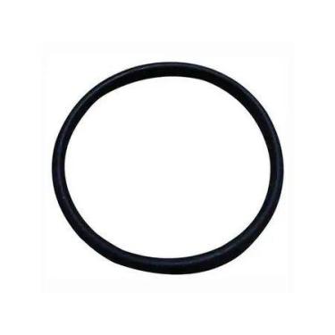 Imagem de Anel Boia Tanque Combustivel Universal - (10 Unidades) - TWT