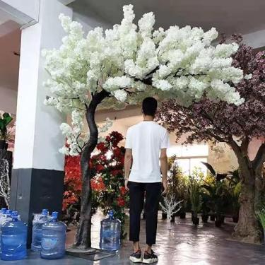 Imagem de Hastes De Madeira Reais Artificiais Da árvore Da Flor De Cerejeira - Planta Interna De Simion Com As Flores Brancas Para A Paisagem Interior, 2.5 * 2m/98 * 78in