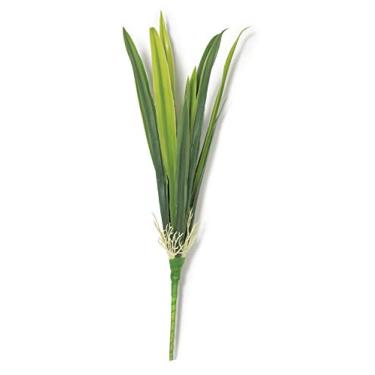 Imagem de Planta Permanente Mart Verde