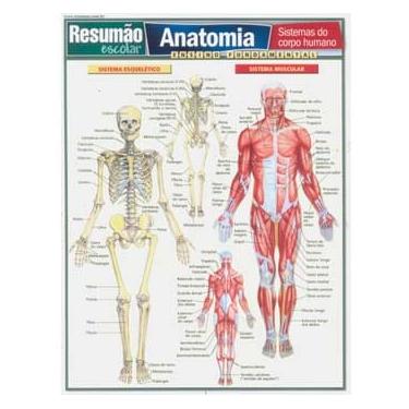 Imagem de Livro - Resumão Escolar - Anatomia: Sistemas do Corpo Humano - Vicente Perez