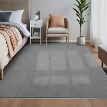 Imagem de GarveeHome Tapete de área de 22 x 30,5 cm para sala de estar, tapete lavável, com suporte antiderrapante, macio, fofo, felpudo, grande, cinza, tapete moderno para quarto de bebê, cinza