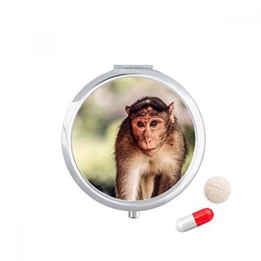 Imagem de Caixa de comprimidos de animais selvagens com organismo terrestre de macaco, recipiente de armazenamento de medicamentos