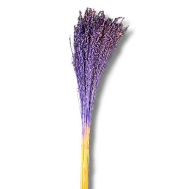 Imagem de Buquê Flor De Vassoura Cores Natural Arranjo Decoração Festa - Flora F