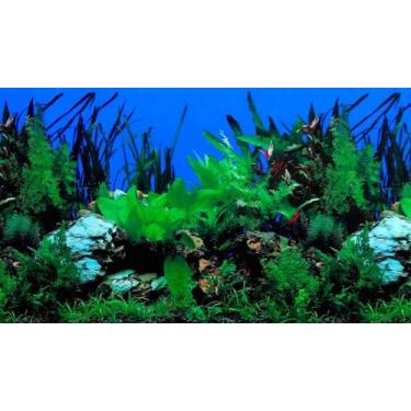 Imagem de Painel Para Aquário Fundo ul E Plantas 30Cm X 100Cm Pp-081 - Chang